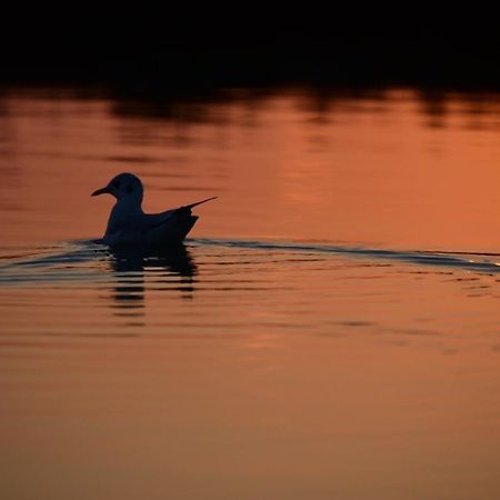 Agriturismo Venice Photobirding Тессера Экстерьер фото