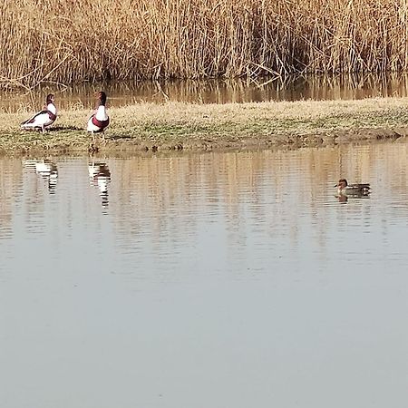 Agriturismo Venice Photobirding Тессера Экстерьер фото