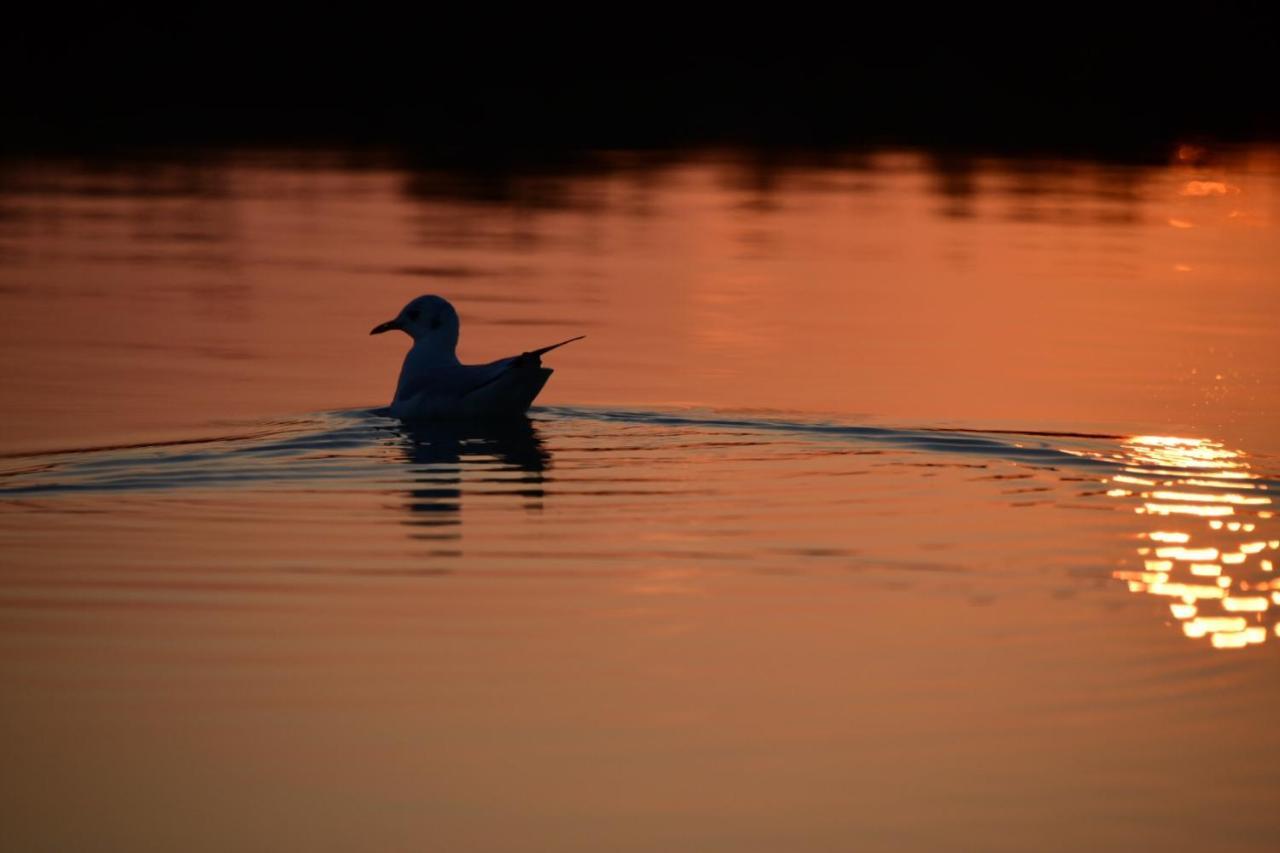Agriturismo Venice Photobirding Тессера Экстерьер фото